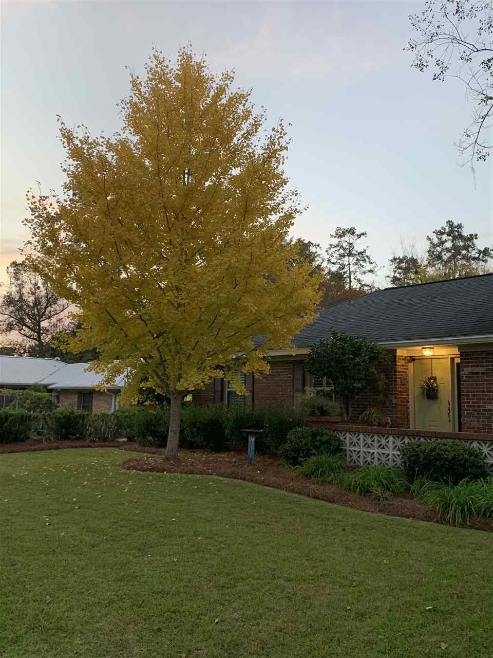 1902 Raa Avenue Tallahassee, FL 32303 - Photo 34 of 36 Gallery Image 34