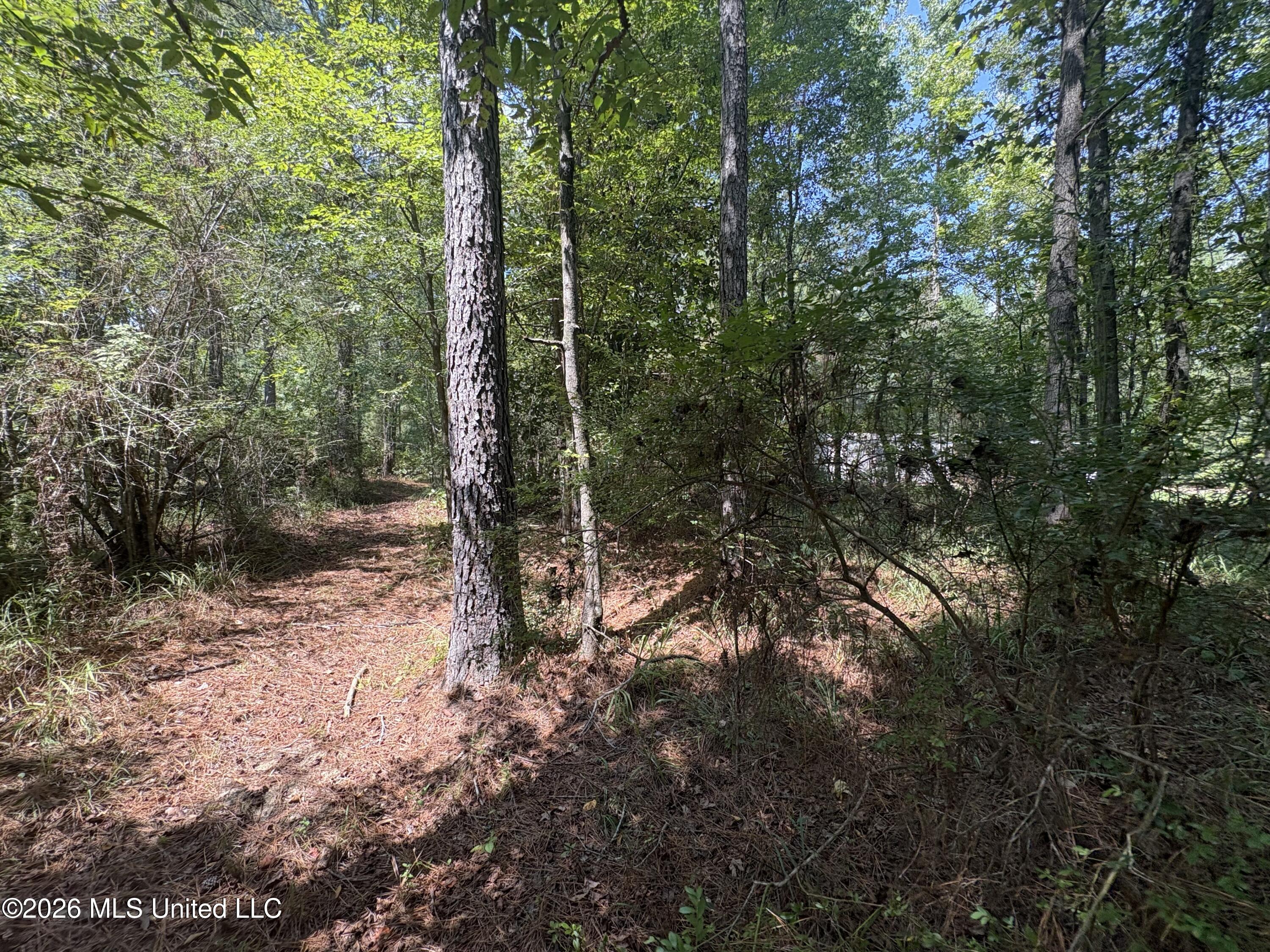70 Whitetail Road Union Church, MS 39668 - Photo 36 of 39 IMG_5021