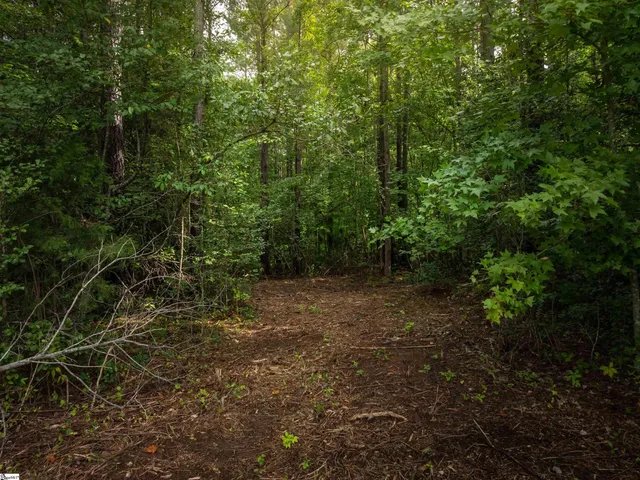 $625,000 | 504 State Rd S-39-152, Liberty, SC 29657