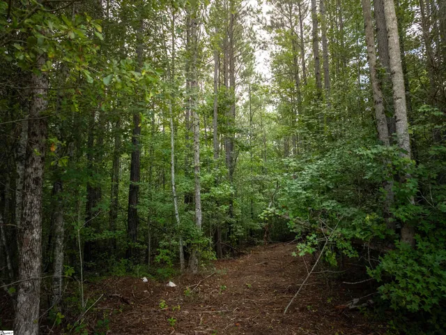 $625,000 | 504 State Rd S-39-152, Liberty, SC 29657