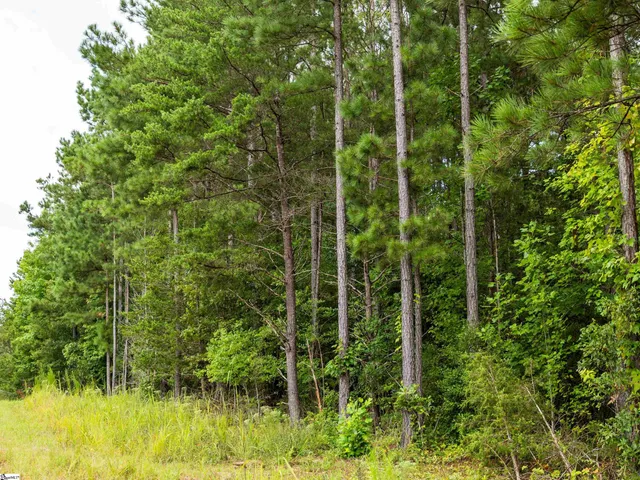 $625,000 | 504 State Rd S-39-152, Liberty, SC 29657