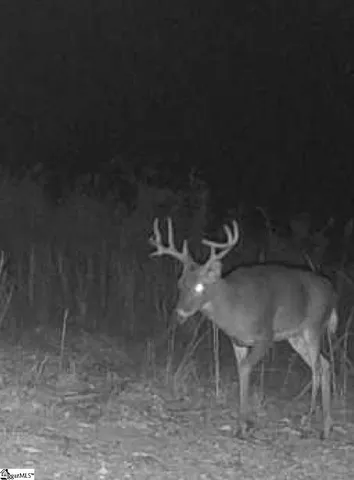 $625,000 | 504 State Rd S-39-152, Liberty, SC 29657