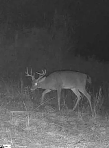 $625,000 | 504 State Rd S-39-152, Liberty, SC 29657