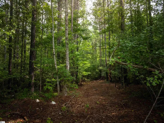 $625,000 | 504 State Rd S-39-152, Liberty, SC 29657