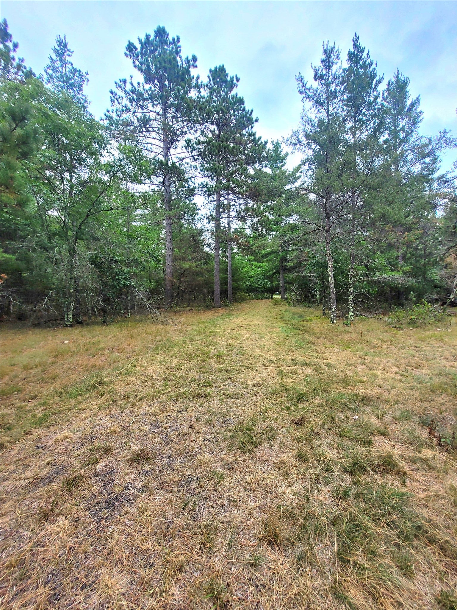 0 Blueberry Road Gordon, WI 54838 - Photo 31 of 35 Gallery Image 31