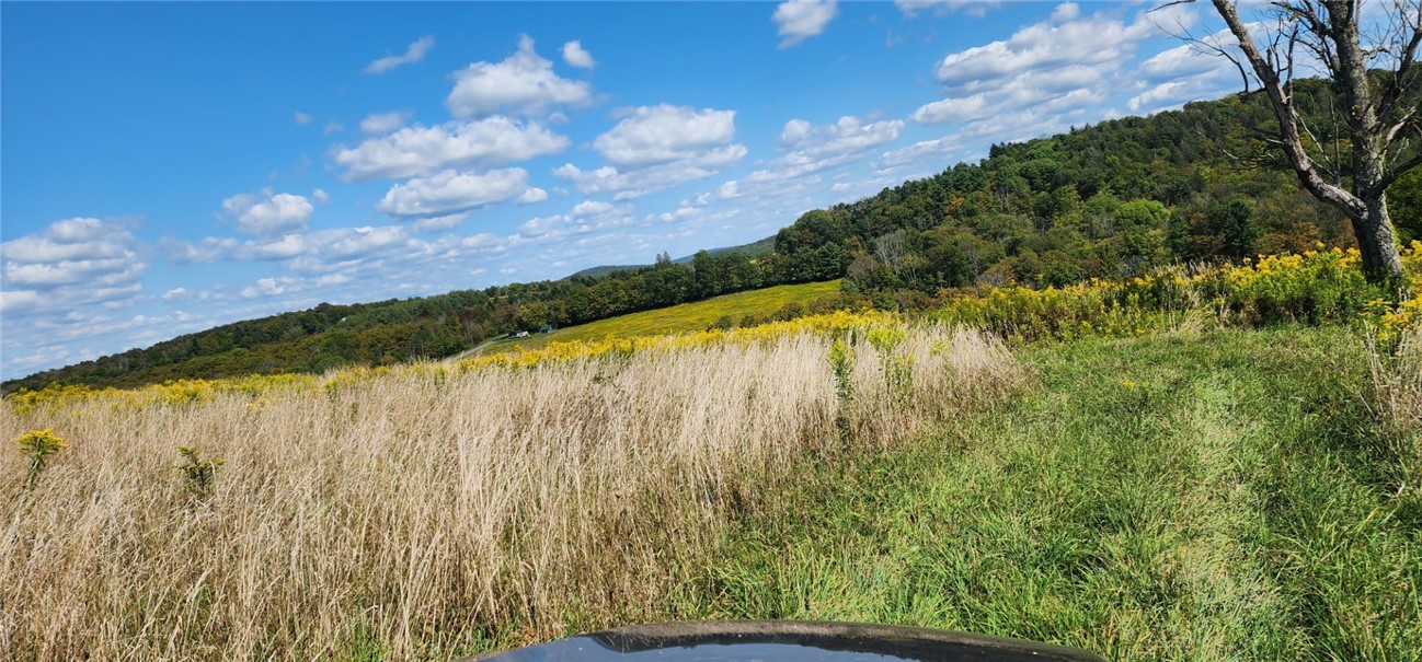 212 A Hill Road Spencer, NY 14883 - Photo 2 of 4