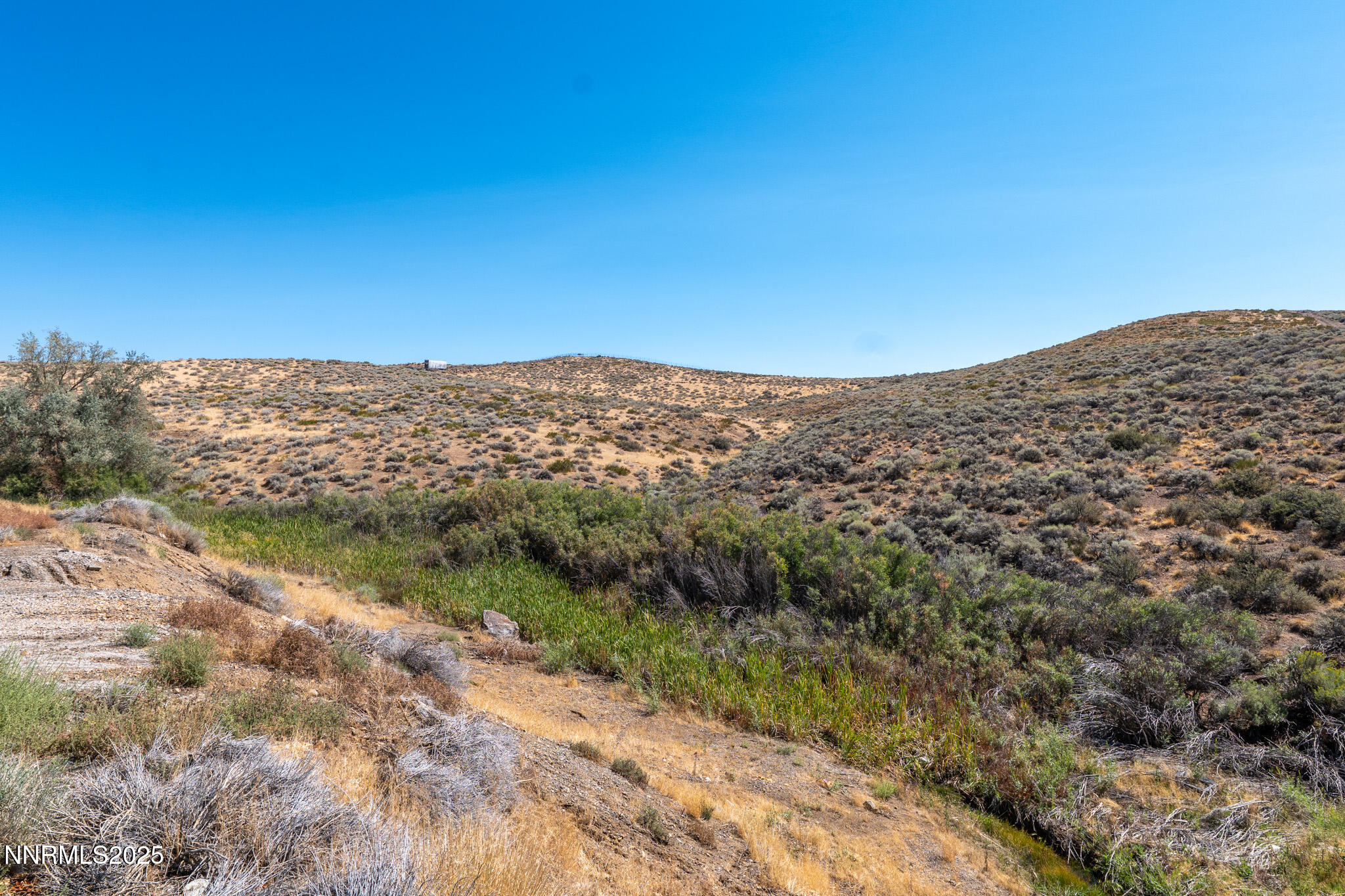 web-or-mls-old-virginia-lot-02