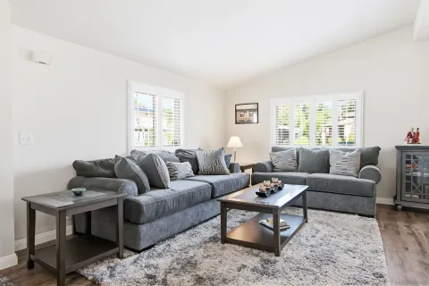 a living room with furniture a rug and a window