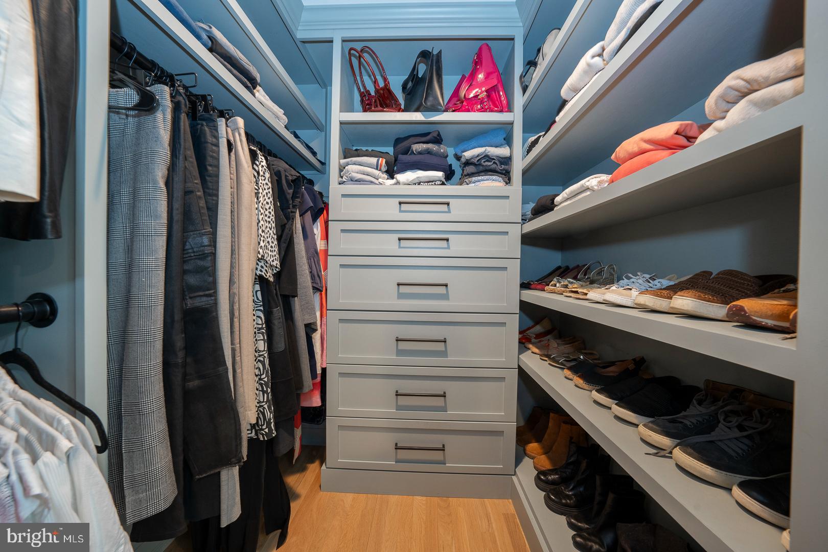 161 Hunters Lane Devon, PA 19333 - Photo 43 of 86 Primary walk-in Closet