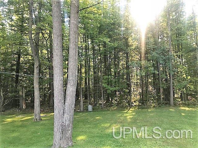882 North N Co Road Manistique, MI 49854 - Photo 34 of 41