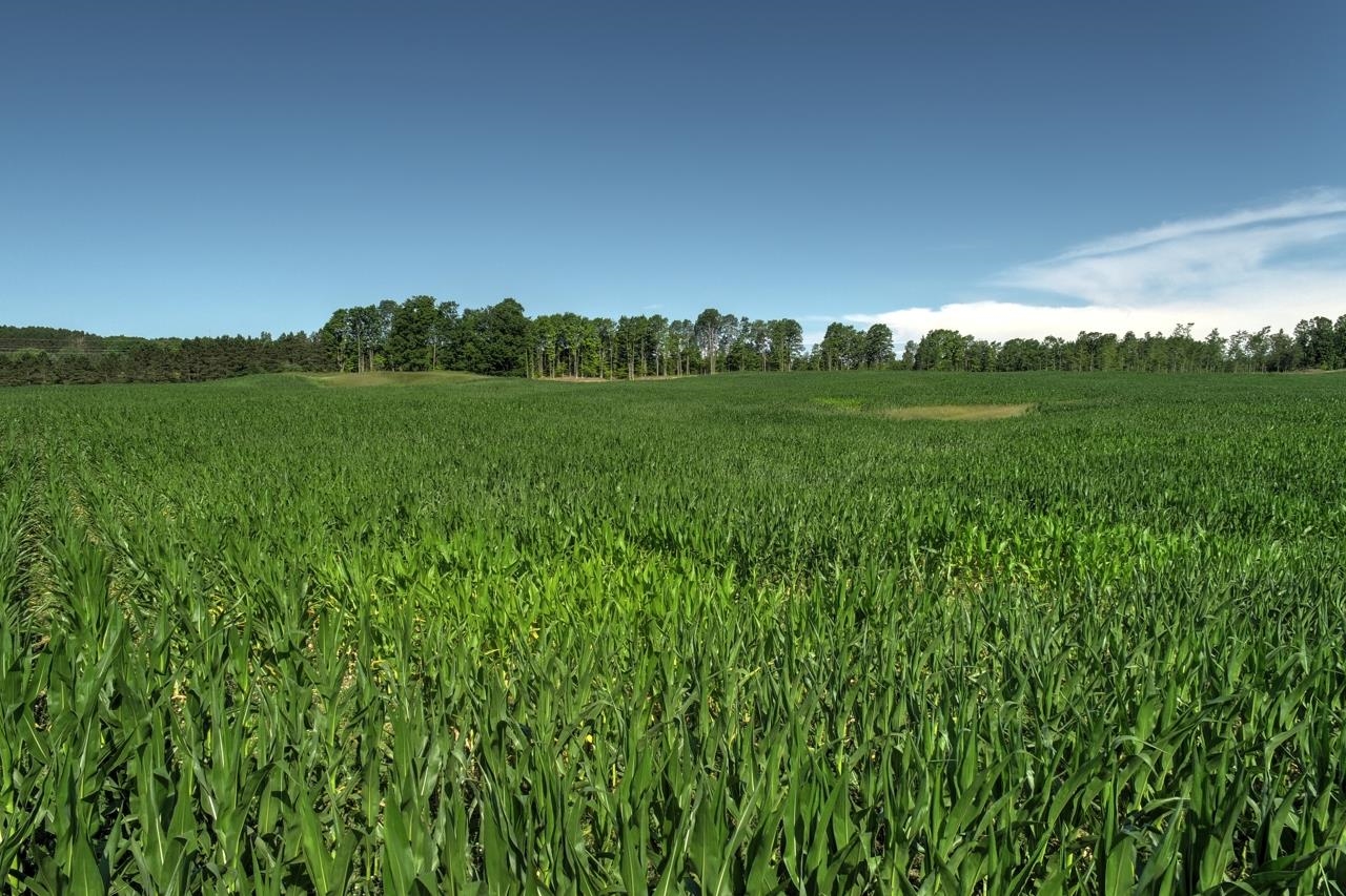 0 West 14th Road Mesick, MI 49668 - Photo 16 of 25