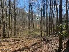 Lot 13 Turkey Creek Road Natchez, MS 39120 - Photo 2 of 6 tempImagerJ19RF
