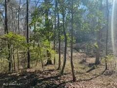 Lot 13 Turkey Creek Road Natchez, MS 39120 - Photo 4 of 6 tempImagesxQ0Fg