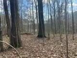 Lot 13 Turkey Creek Road Natchez, MS 39120 - Photo 6 of 6 tempImage3AL7SX