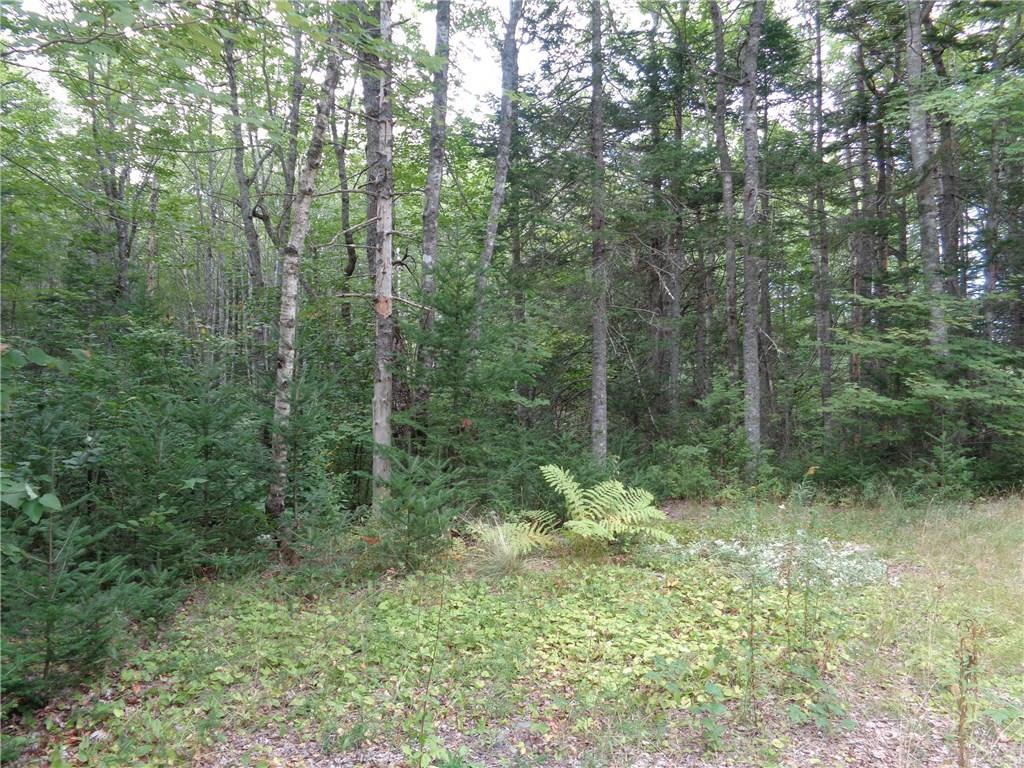Lot 10 Meadow Road Raymond, ME 04071 - Photo 14 of 14 Photo