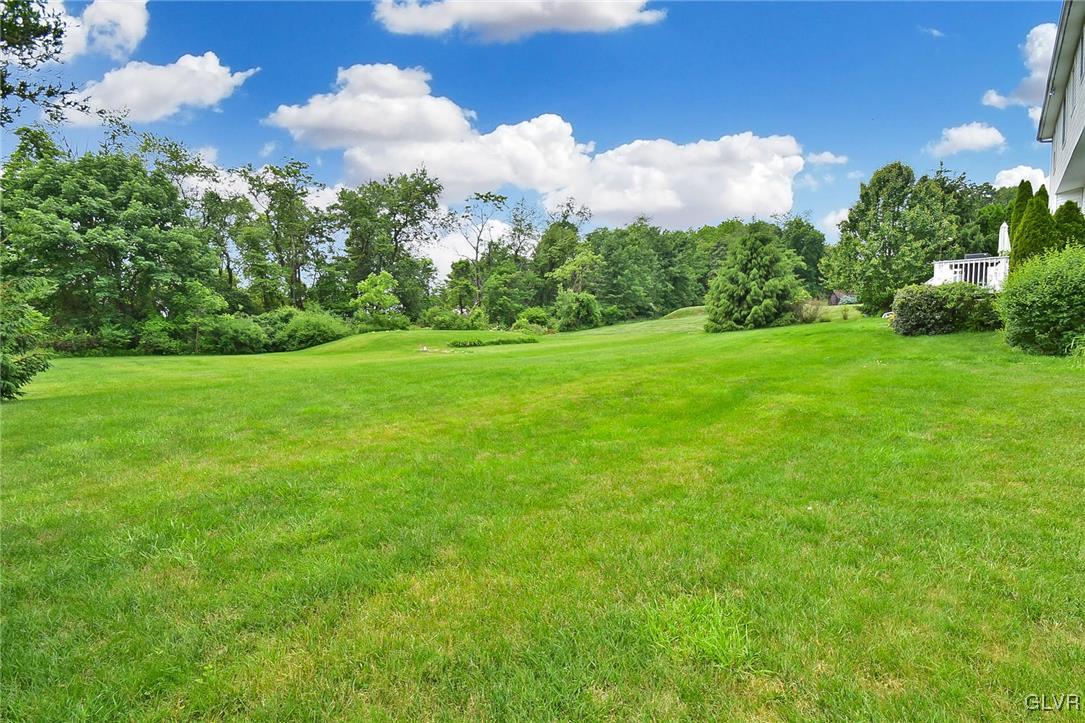 105 Hahn Road Stroudsburg, PA 18360 - Photo 41 of 45 a view of a big yard with plants and large trees