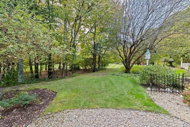 a view of a park with large trees