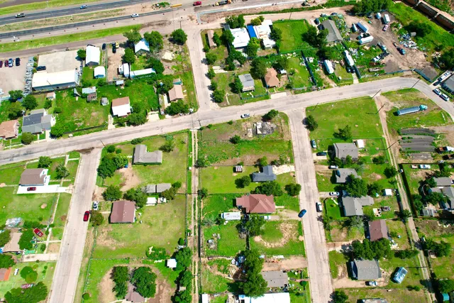 a picture of flowers