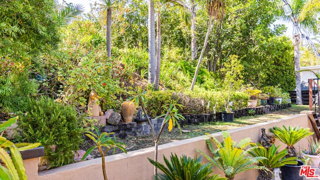 a view of a swimming pool with a garden and plants