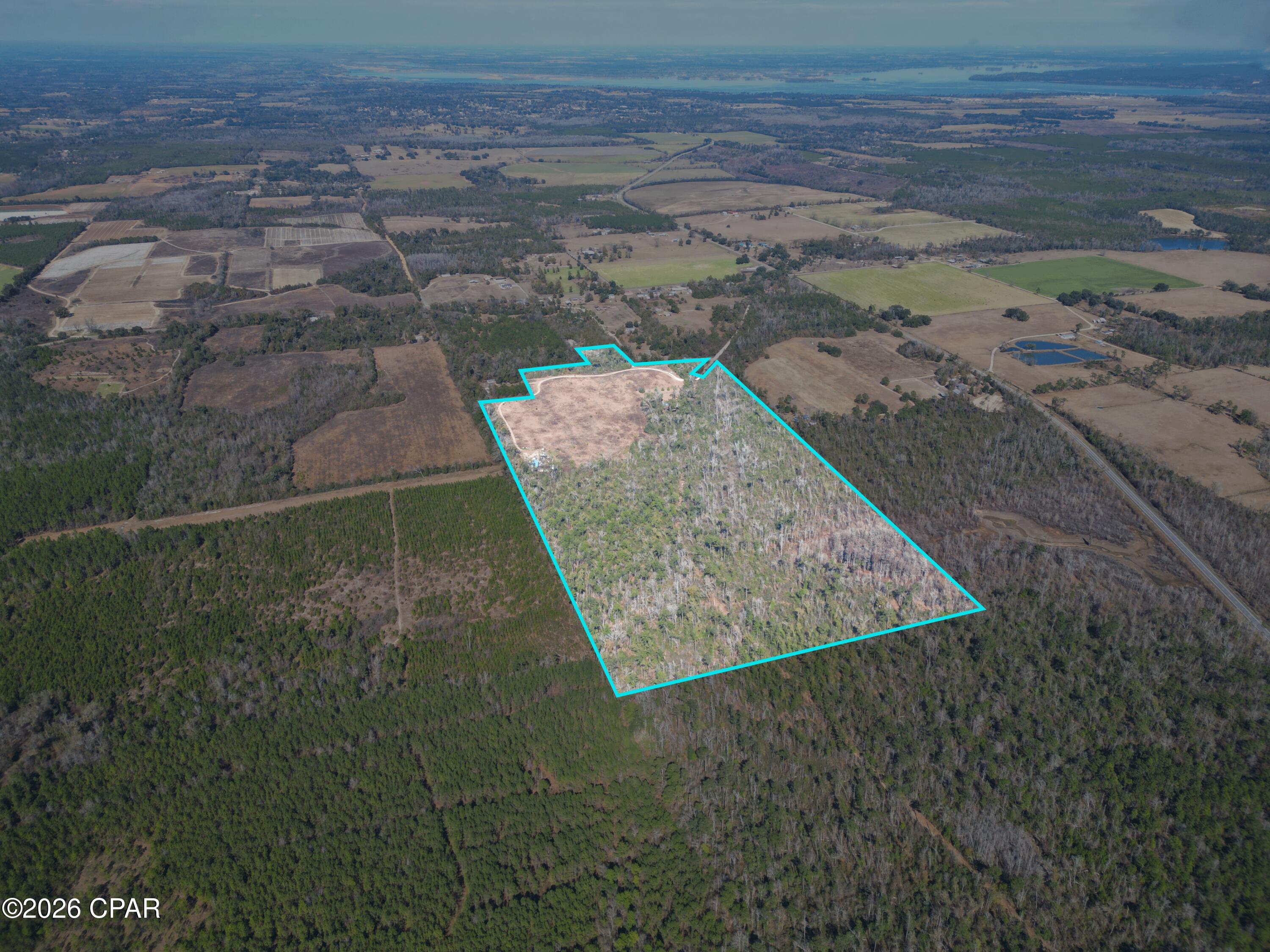 7849 Leatherneck Trail Grand Ridge, FL 32442 - Photo 5 of 22