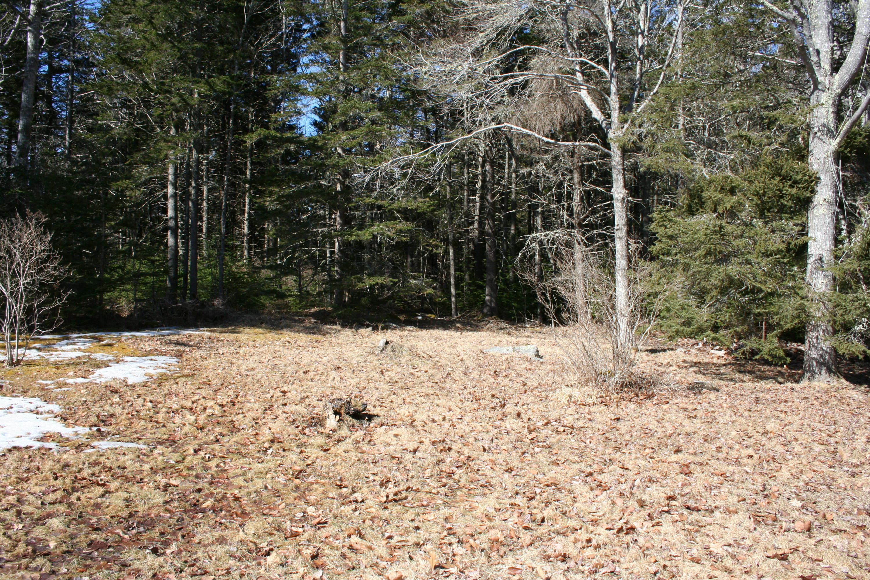 2775 Bristol Road Bristol, ME 04554 - Photo 21 of 54 2775 back yard b