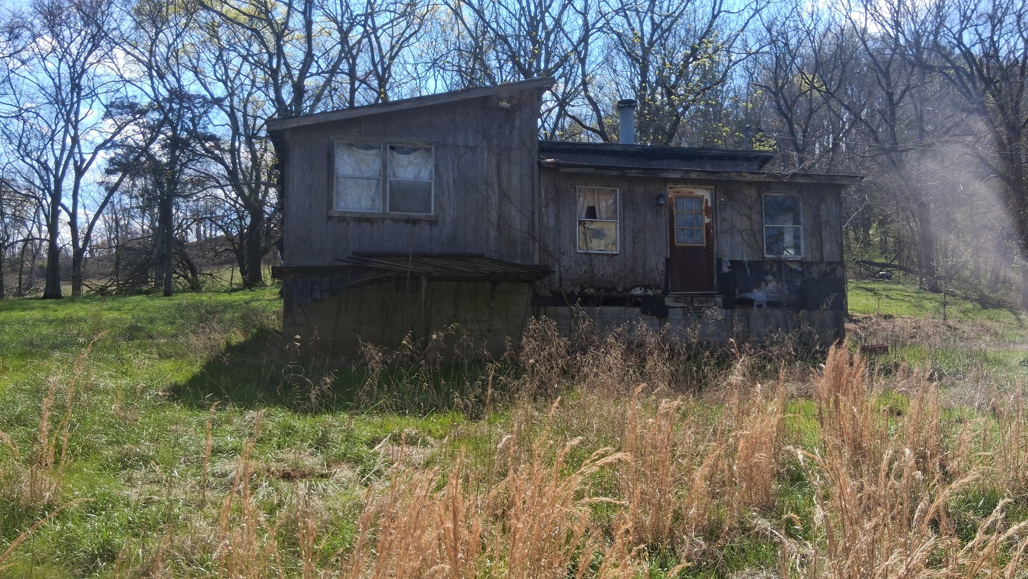 2431 Williams Road Cornersville, TN 37047 - Photo 3 of 8