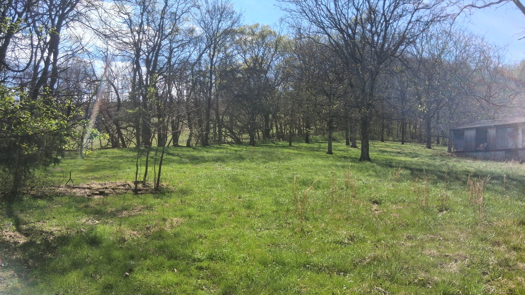 2431 Williams Road Cornersville, TN 37047 - Photo 4 of 8