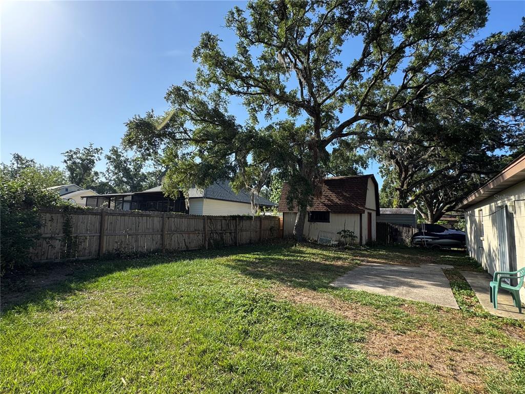 1703 North Taylor Road Brandon, FL 33510 - Photo 8 of 32 a view of a backyard with a tree