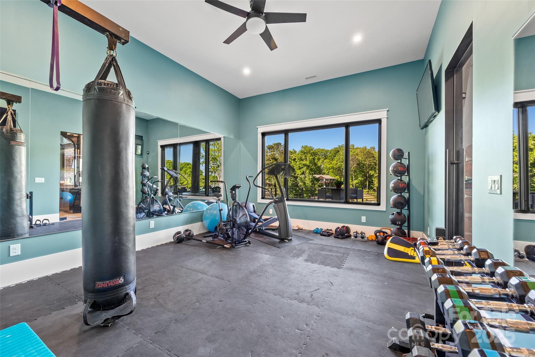 385 Squirrel Lane Lake Wylie, SC 29710 - Photo 32 of 48 a view of a room with gym equipment