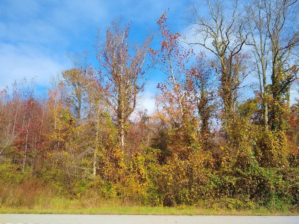 0 State Highway Decatur, TN 37322 - Photo 1 of 9 Gallery Image 1