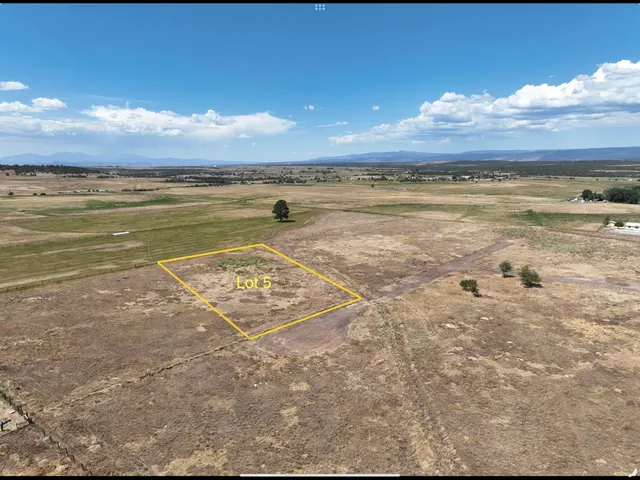 a view of an ocean and beach