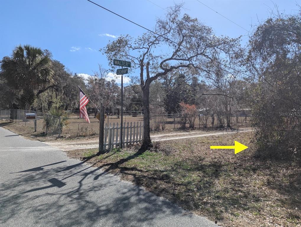 Cochran Road Geneva, FL 32732 - Photo 13 of 28 a view of a yard with a trees