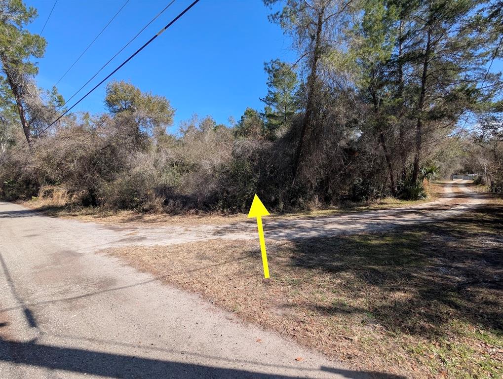 Cochran Road Geneva, FL 32732 - Photo 19 of 28