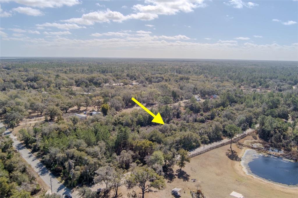 Cochran Road Geneva, FL 32732 - Photo 21 of 28 a view of a dry yard with lots of green space