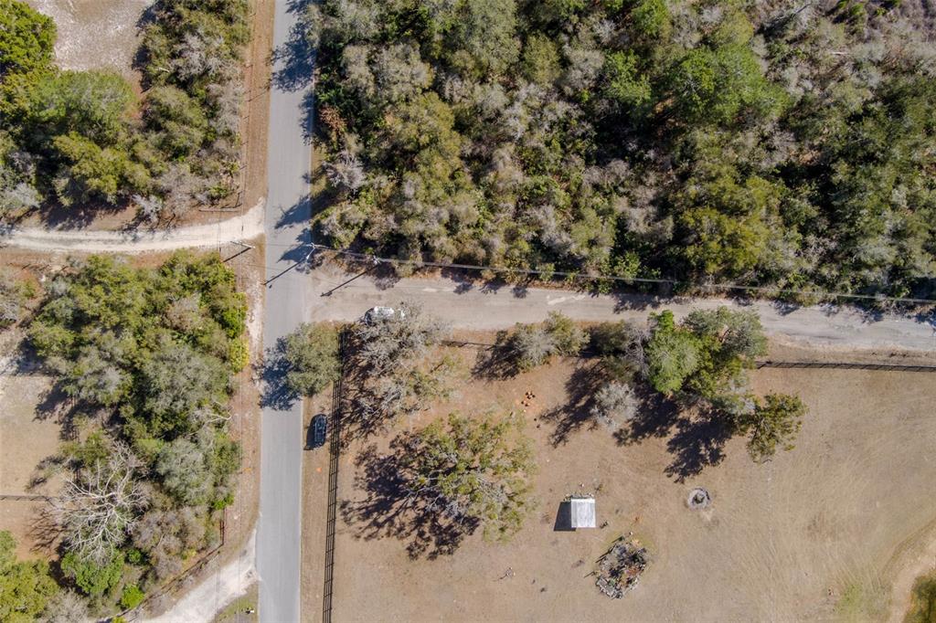 Cochran Road Geneva, FL 32732 - Photo 28 of 28 a view of a tree in a yard