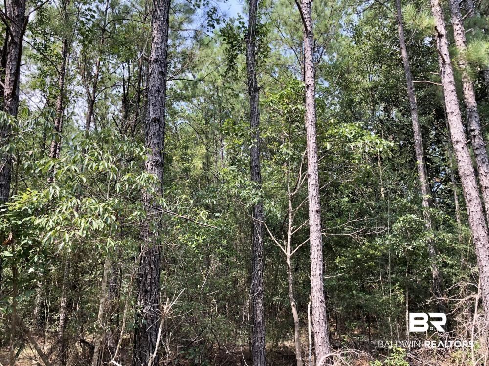 18560 Mason Street Citronelle, AL 36522 - Photo 8 of 45