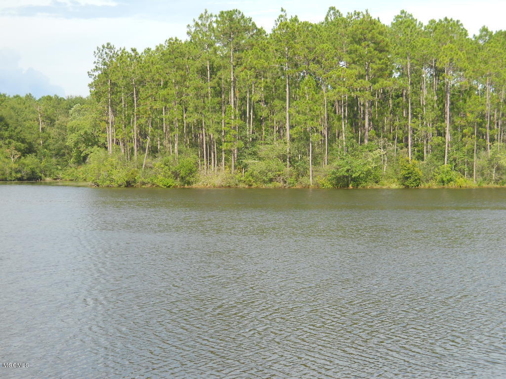 0 Lake Ridge Drive Saucier, MS 39574 - Photo 12 of 12 Gallery Image 12