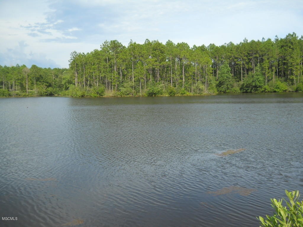 0 Lake Ridge Drive Saucier, MS 39574 - Photo 3 of 12 Gallery Image 3