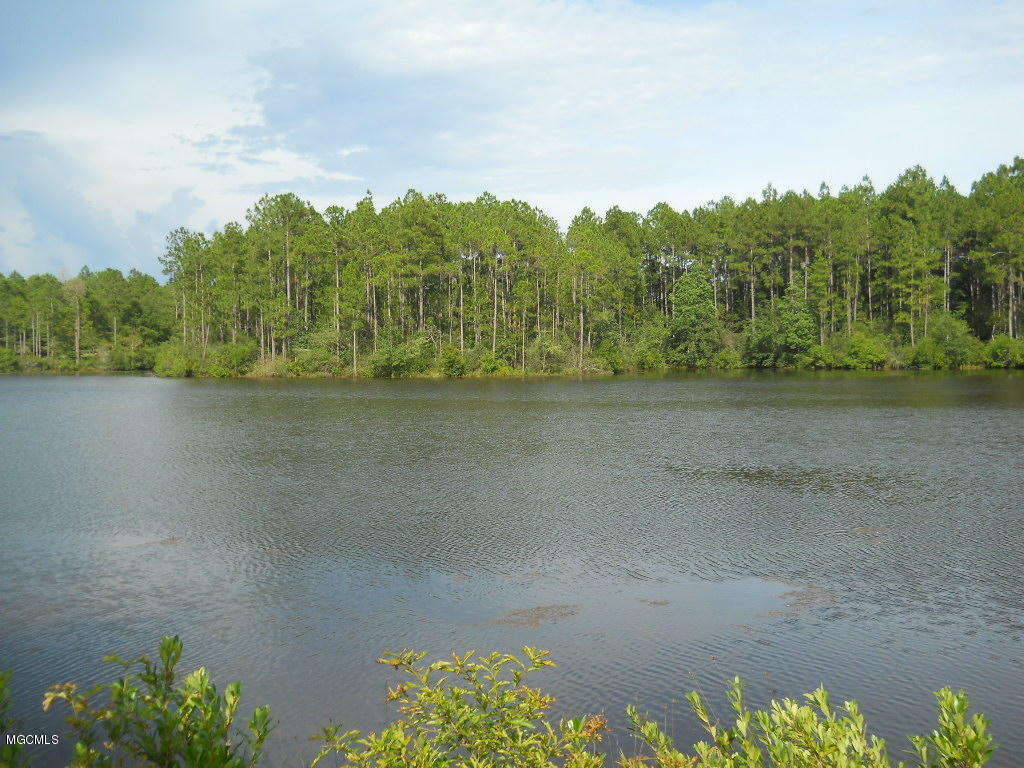 0 Lake Ridge Drive Saucier, MS 39574 - Photo 6 of 12 Gallery Image 6