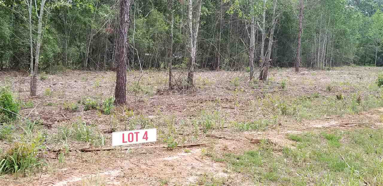 4 Taylor Still Road Robertsdale, AL 36567 - Photo 1 of 2