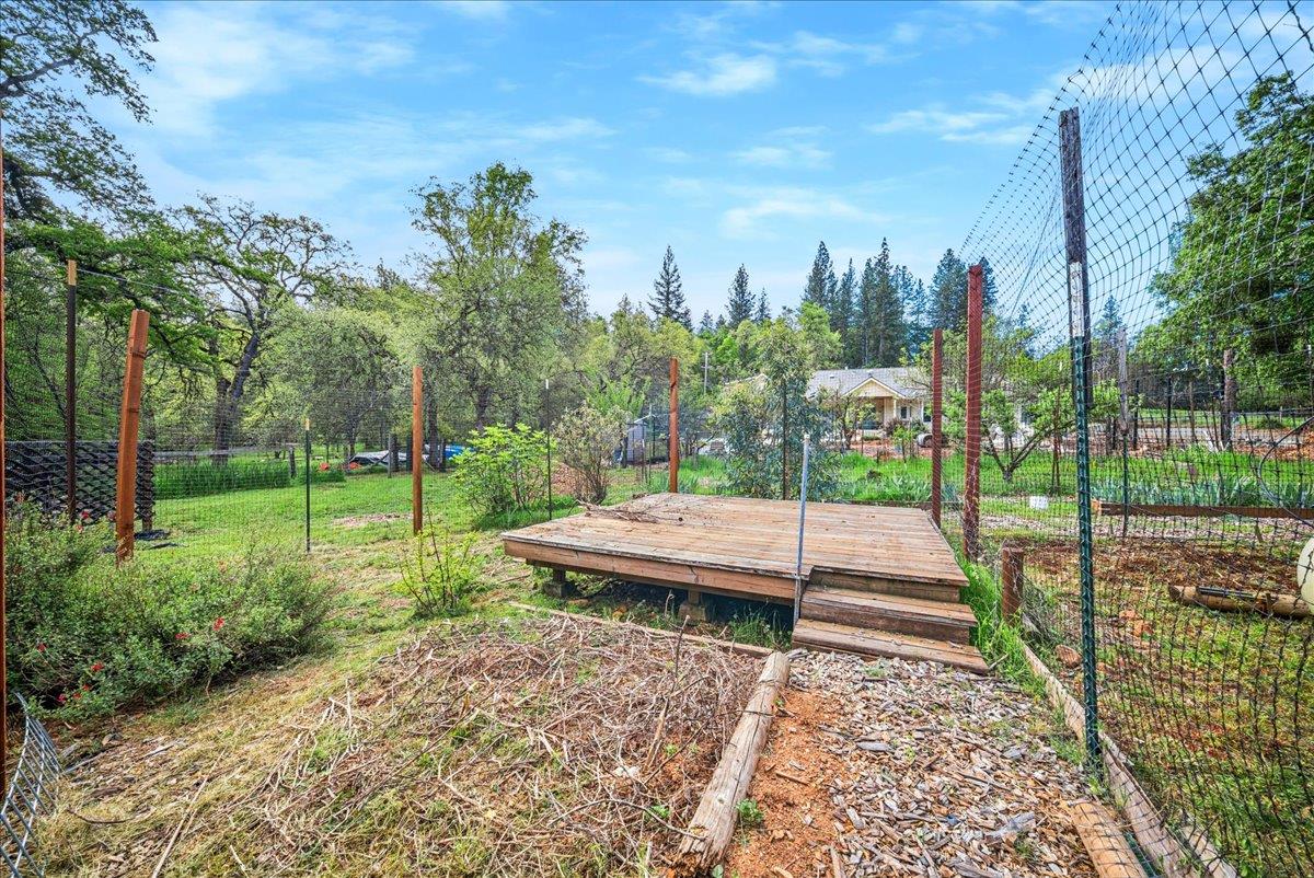 709 Cole Road Meadow Vista, CA 95722 - Photo 21 of 57 a view of a park with plants and trees