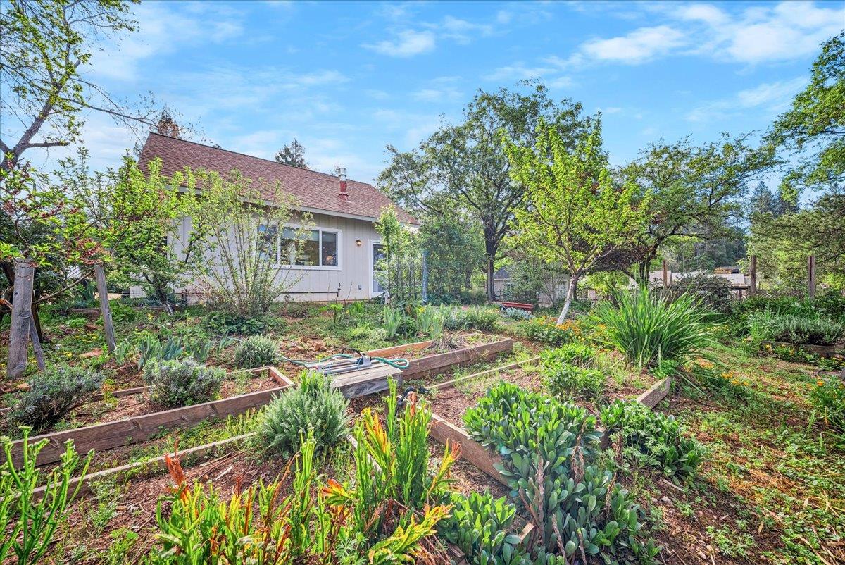 709 Cole Road Meadow Vista, CA 95722 - Photo 35 of 57