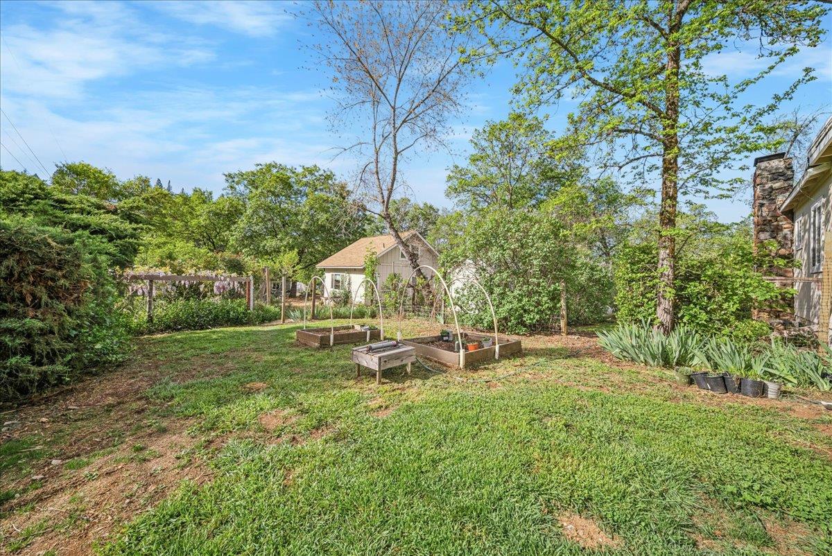 709 Cole Road Meadow Vista, CA 95722 - Photo 49 of 57 a view of a park with large trees