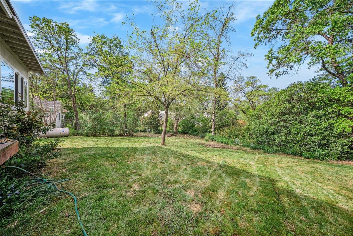 709 Cole Road Meadow Vista, CA 95722 - Photo 51 of 57 a view of a lush green space