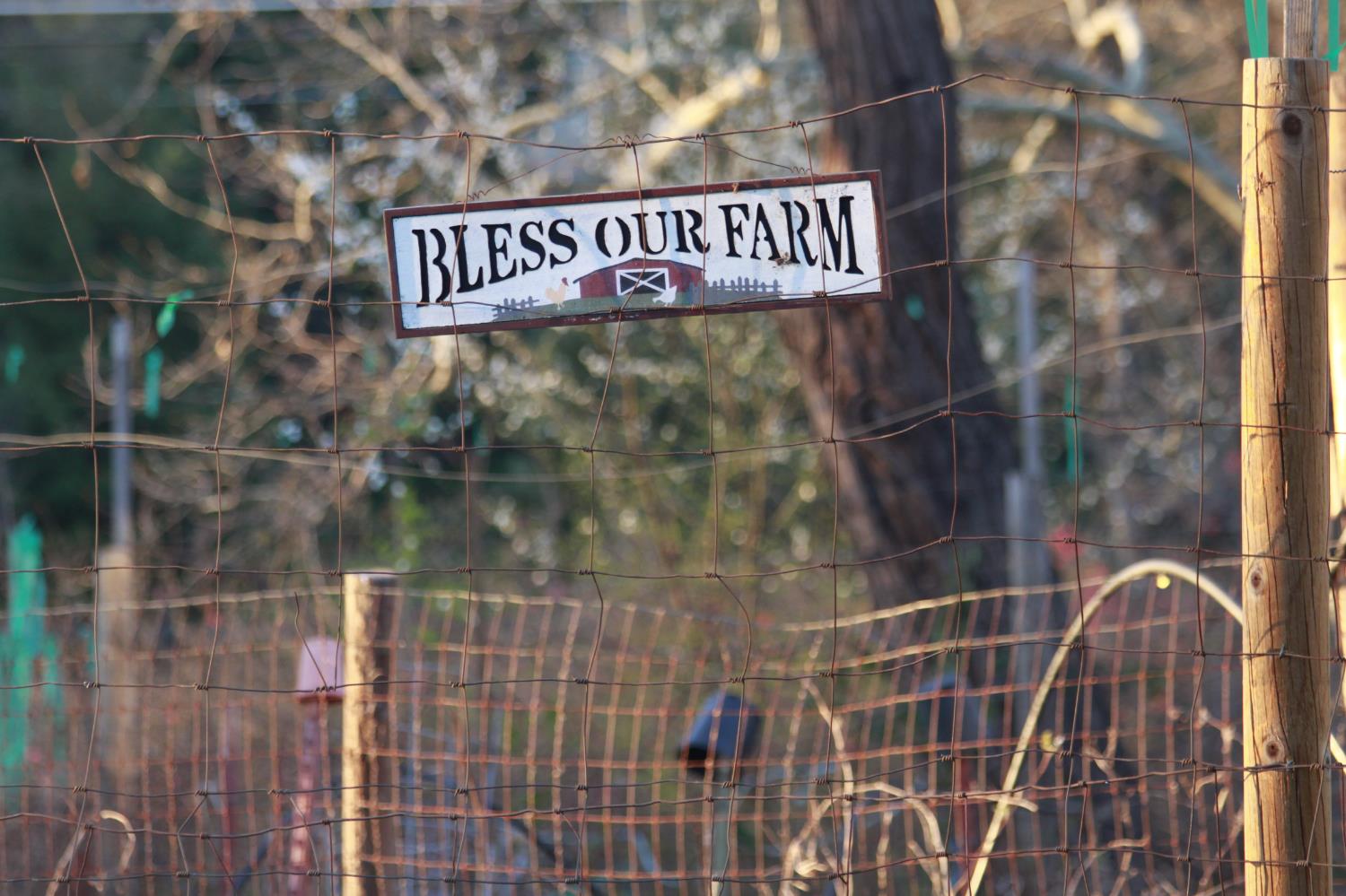 709 Cole Road Meadow Vista, CA 95722 - Photo 54 of 57 a close up of a shower