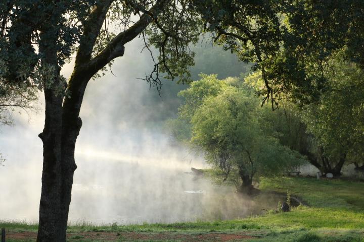 709 Cole Road Meadow Vista, CA 95722 - Photo 56 of 57