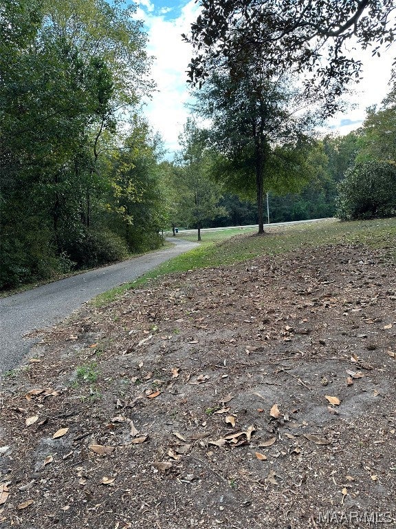 314 R Street Evergreen, AL 36401 - Photo 14 of 59 Gallery Image 14