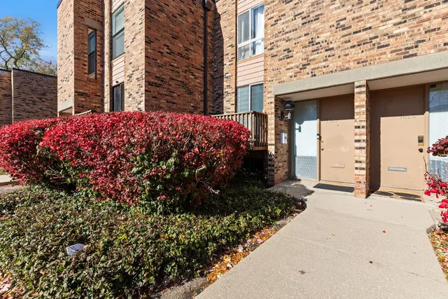 a view of a house with a small yard and garage
