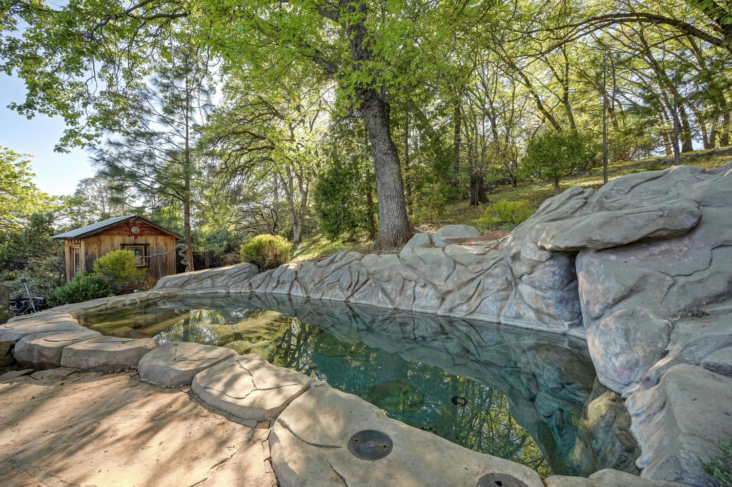 20312 Wolf Creek Road Grass Valley, CA 95949 - Photo 24 of 58