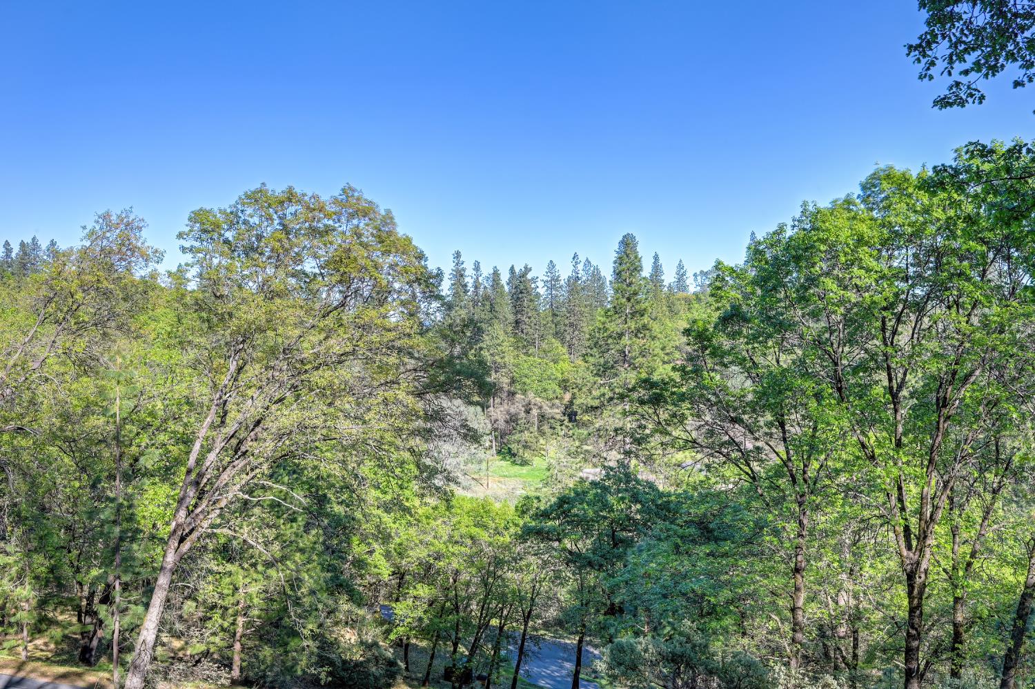 20312 Wolf Creek Road Grass Valley, CA 95949 - Photo 25 of 58